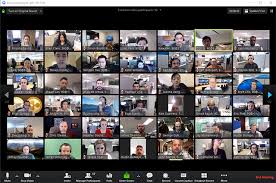 Screenshot of conference call with a lot of attendees