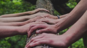 Hands with various skin tones placed on the log of a tree